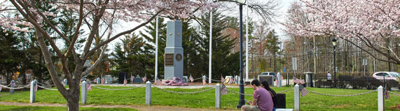 Parsippany NJ